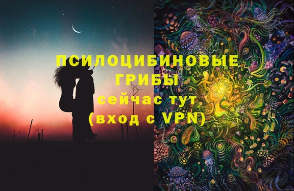 твердый Алзамай