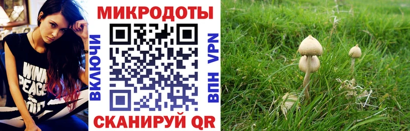 Псилоцибиновые грибы GOLDEN TEACHER Харабали